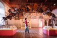 Chillon - salle des armoiries