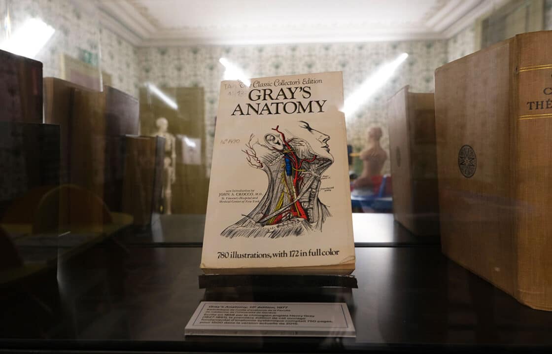 Anatomie